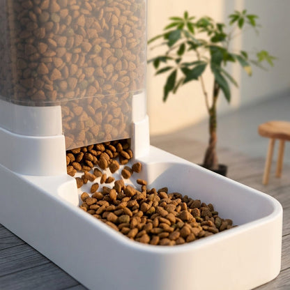 Automatic Pet Feeder and Waterer